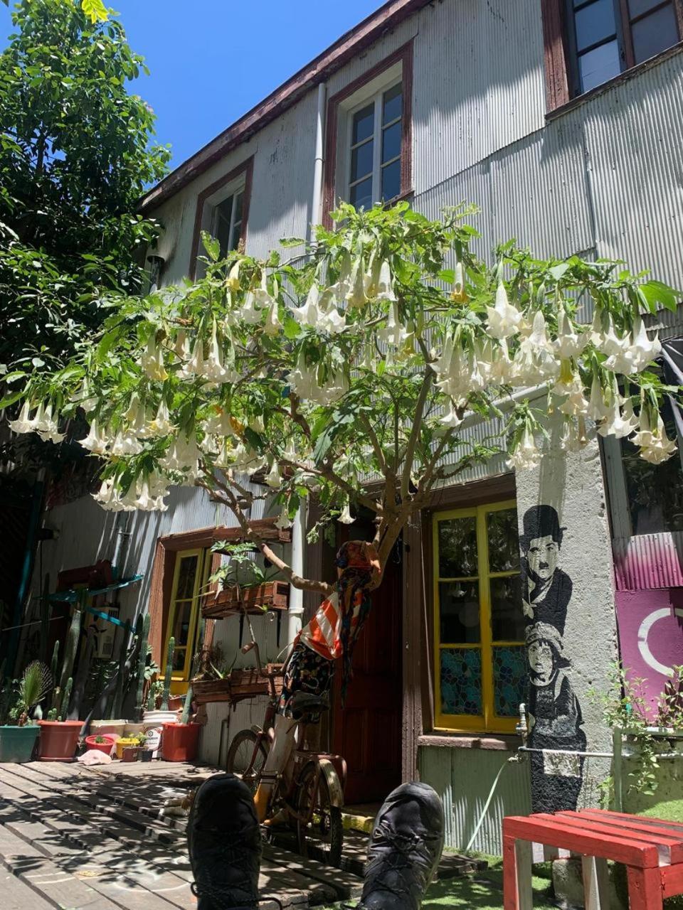 Art Hostel Casa Chaman Valparaiso Bagian luar foto